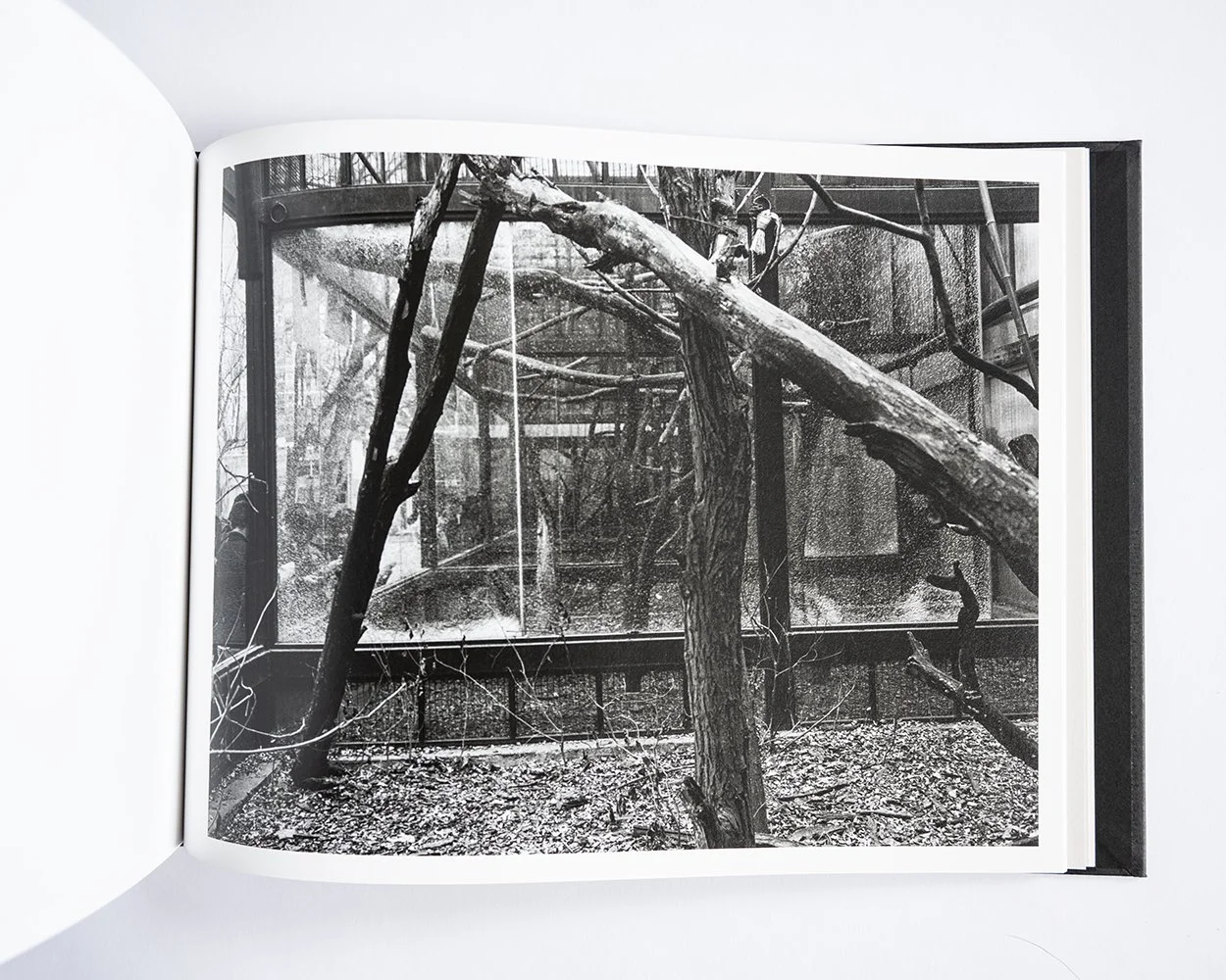 William Eggleston: A Cor Americana — bookdummypress